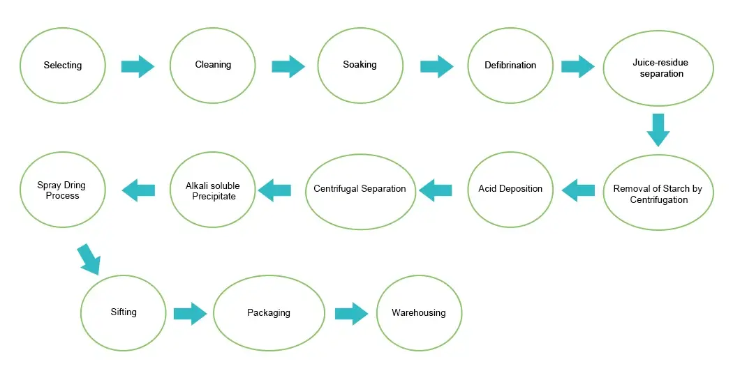 Phycocyanin Powder Flow Chart.webp